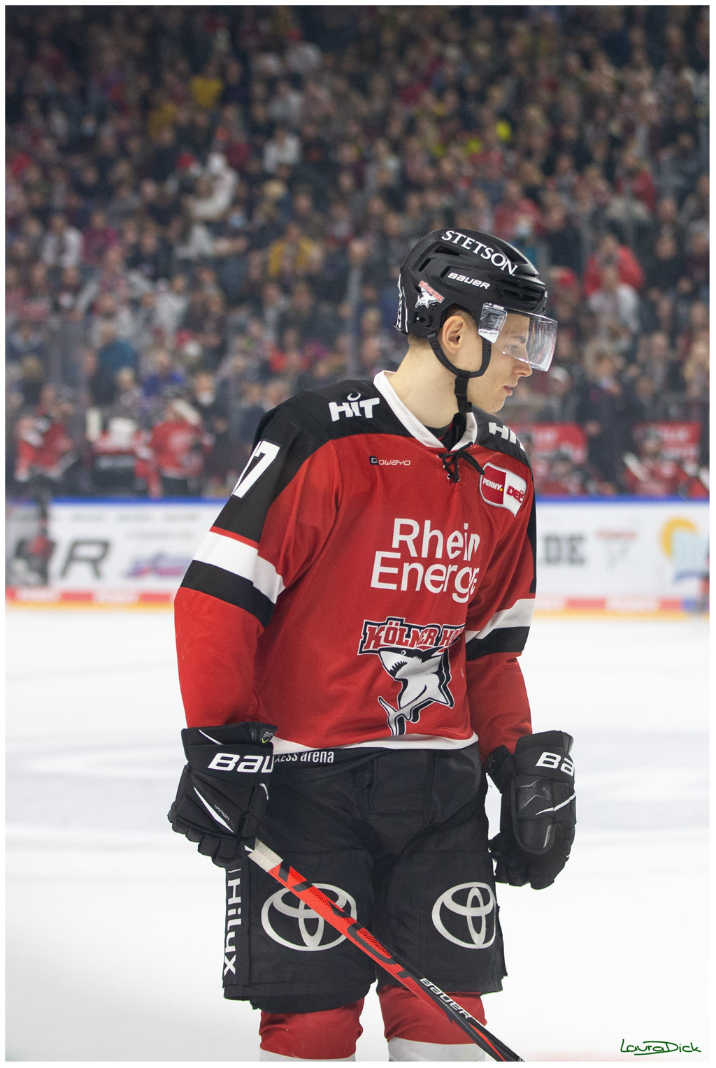 PENNY DEL;  Koelner Haie - Krefeld Pinguins; Koeln, 31.10.2021